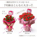 【母の日ギフト】鉢もの「カーネション7号レッド」」＜お届け日：2026年5/4～5/10&nbsp;当店おまかせ&nbsp;＞母の日カード付き【&nbsp;母の日&nbsp;ギフト&nbsp;アレンジ&nbsp;花&nbsp;カーネーション&nbsp;贈り物&nbsp;大阪府&nbsp;門真市&nbsp;】