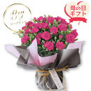 【母の日ギフト】鉢もの「カーネション7号ピンク」＜お届け日：2026年5/4～5/10&nbsp;当店おまかせ&nbsp;＞母の日カード付き【&nbsp;母の日&nbsp;ギフト&nbsp;アレンジ&nbsp;花&nbsp;カーネーション&nbsp;贈り物&nbsp;大阪府&nbsp;門真市&nbsp;】