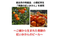 香川県産クラフトビール「Quad&nbsp;K&nbsp;Beer」セゾンとみかんのフルーツビール　詰め合わせ６本セット