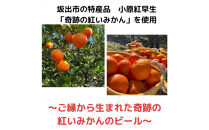 香川県産クラフトビール「Quad&nbsp;K&nbsp;Beer」&nbsp;kokou&nbsp;計6本