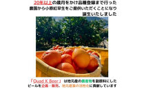 香川県産クラフトビール「Quad&nbsp;K&nbsp;Beer」&nbsp;kokou&nbsp;計6本