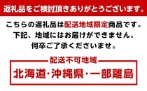 とろり みかんネクター 720ml×2本［IKE225］
