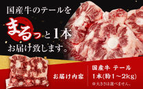 国産牛&nbsp;テール&nbsp;丸々1本　(約1～2kg)