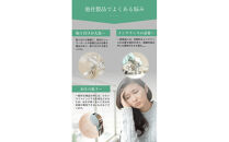 アクアビュルジェネレータ　インライン３　AQUA&nbsp;BULLE