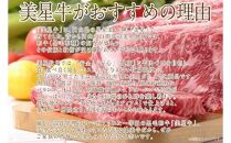 岡山　黒毛和牛　美星牛　A４等級以上　牛脂付き サーロイン　サーロインステーキ　約４００g　 約２００g×２枚　美星牧場