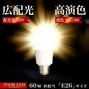 LED電球 E26サイズ 2700K 電球色 約W600mm×H1120mm AKU101166101