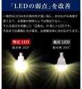 LED電球 E26サイズ 2700K 電球色 約W600mm×H1120mm AKU101166101