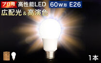 LED電球 E26サイズ 2700K 電球色 約W600mm×H1120mm AKU101166101