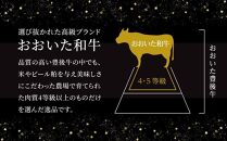 ＜定期便&nbsp;全6回＞おおいた和牛&nbsp;ヒレステーキ&nbsp;400g（100g×4枚）セット