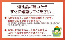 996.【ふるさと納税】大栄西瓜 大 2玉（高間商店）※6月中旬～7月中旬頃に順次発送予定【西瓜 スイカ 果物 フルーツ くだもの 鳥取県 北栄町 おすすめ 人気 送料無料】