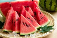 ＼2026年産先行予約／大栄西瓜 L ２玉 ※2026年6月中旬～7月中旬頃に順次発送予定 | 西瓜 スイカ 大栄すいか 果物 フルーツ くだもの 鳥取県 北栄町 おすすめ 人気 送料無料