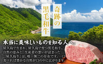 【定期便&nbsp;全8回】【屋久島牛】世界自然遺産&nbsp;全品堪能定期便＜1～8月発送＞