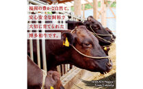 博多和牛&nbsp;霜降りカルビたれ漬け&nbsp;全5回定期便&nbsp;約600g×5回