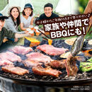 博多和牛 霜降りカルビ 全3回定期便 約500g×3回