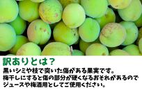 [2025年6月上旬出荷] 青梅 南高梅 約1kg 訳あり サイズミックス 和歌山県産 A品 梅酒作り用 梅ジュース作り用