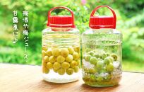 [2025年6月上旬出荷] 青梅 南高梅 約1kg 秀品 サイズミックス  和歌山県産 A品 梅酒作り用 梅ジュース作り用