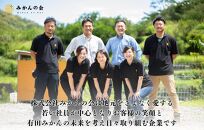 [2025年6月上旬出荷] 青梅 南高梅 約1kg 秀品 サイズミックス  和歌山県産 A品 梅酒作り用 梅ジュース作り用