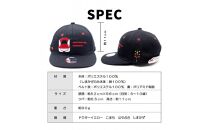 鉄道グッズセット（鉄道アドバンスCAPと子ども用くつした）こまち