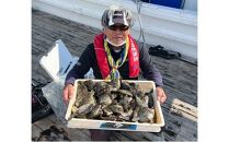 大阪府堺市　夢フィッシング　渡船券4枚