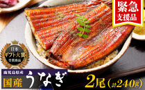 うなぎ&nbsp;緊急支援品&nbsp;鹿児島県産&nbsp;長蒲焼&nbsp;120g&nbsp;×&nbsp;2尾&nbsp;合計&nbsp;240g&nbsp;&nbsp;国産&nbsp;うなぎ&nbsp;鰻&nbsp;ウナギ&nbsp;蒲焼き&nbsp;蒲焼&nbsp;かばやき&nbsp;魚&nbsp;魚介&nbsp;魚貝&nbsp;海鮮&nbsp;うな重&nbsp;ひつまぶし&nbsp;蒲焼&nbsp;訳あり&nbsp;ギフト&nbsp;人気&nbsp;うなぎ&nbsp;おすすめ&nbsp;鹿児島県&nbsp;大崎町&nbsp;大隅半島
