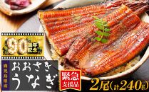 うなぎ&nbsp;緊急支援品&nbsp;鹿児島県産&nbsp;長蒲焼&nbsp;120g&nbsp;×&nbsp;2尾&nbsp;合計&nbsp;240g&nbsp;&nbsp;国産&nbsp;うなぎ&nbsp;鰻&nbsp;ウナギ&nbsp;蒲焼き&nbsp;蒲焼&nbsp;かばやき&nbsp;魚&nbsp;魚介&nbsp;魚貝&nbsp;海鮮&nbsp;うな重&nbsp;ひつまぶし&nbsp;蒲焼&nbsp;訳あり&nbsp;ギフト&nbsp;人気&nbsp;うなぎ&nbsp;おすすめ&nbsp;鹿児島県&nbsp;大崎町&nbsp;大隅半島