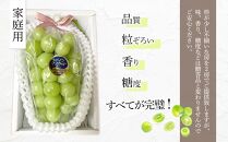 ぶどう&nbsp;2026年&nbsp;&nbsp;糖度18度以上&nbsp;岡山県産&nbsp;シャインマスカット&nbsp;800g以上&nbsp;1房&nbsp;家庭用＜9月以降発送＞&nbsp;|&nbsp;フルーツ&nbsp;果物&nbsp;くだもの&nbsp;シャインマスカット&nbsp;マスカット&nbsp;葡萄&nbsp;ぶどう&nbsp;ブドウ&nbsp;ご家庭用&nbsp;岡山県産&nbsp;シャインマスカット&nbsp;マスカット&nbsp;フルーツ&nbsp;果物&nbsp;くだもの&nbsp;シャインマスカット