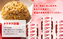 尾道タケタケ&nbsp;140g×2セット