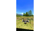 メタセコイア並木０分の絶景&nbsp;一棟貸で味わう&nbsp;石焼ハンバーグと自家製海老フライプラン&nbsp;1泊2食&nbsp;1名様分