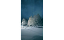 メタセコイア並木０分の絶景&nbsp;一棟貸で味わう&nbsp;近江牛すきやきプラン&nbsp;1泊2食&nbsp;2名様分