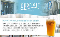 【定期便】ｏｐｅｎ ａｉｒ クラフトビール定期便 1年＜全12回毎月お届け＞