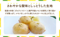 米粉レモンケーキ 5個入り