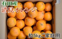 ★2026年2月中旬より発送★ ご家庭用 濃厚 有田産清見オレンジ約5kg サイズおまかせ または混合