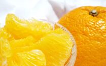 ★2026年3月下旬より発送★&nbsp;こだわりの和歌山有田産木成り完熟八朔「さつき」&nbsp;約5kg&nbsp;M～2Lサイズおまかせ