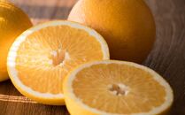 ★2026年3月下旬より発送★&nbsp;こだわりの和歌山有田産木成り完熟八朔「さつき」&nbsp;約5kg&nbsp;M～2Lサイズおまかせ