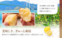 【アンリ・シャルパンティエ】フィナンシェ・マドレーヌ詰合せ 19個入　HFM-30N2　［ 西宮市 有名フィナンシェ店 パティシエこだわり フィナンシェ 人気フィナンシェ スイーツ お菓子 焼き菓子 ギフト プレゼント おすすめフィナンシェ お取り寄せ 通販 送料無料 ふるさと納税 洋菓子 ］