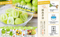 【2026年発送分先行予約】シャインマスカット&nbsp;２房（約１kg）【2026年9月上旬以降順次】