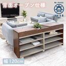 国産&nbsp;サイドボード&nbsp;間仕切り&nbsp;木製&nbsp;ショグナ&nbsp;幅120cm&nbsp;ライトブラウン&nbsp;収納家具&nbsp;キャスター付き&nbsp;収納間仕切り&nbsp;リビング収納