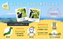 【2026年発送分先行予約】ナガノパープル１房（約500～600g）【2026年8月下旬以降順次】