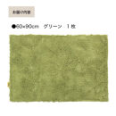 乾度良好&nbsp;Dナチュレ&nbsp;バスマット&nbsp;約60×90cm&nbsp;グリーン&nbsp;吸水速乾&nbsp;裏面すべり止め加工&nbsp;抗菌防臭&nbsp;洗える&nbsp;足拭きマット