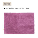 乾度良好&nbsp;Dナチュレ&nbsp;バスマット&nbsp;約70×100cm&nbsp;ローズピンク&nbsp;吸水速乾&nbsp;裏面すべり止め加工&nbsp;抗菌防臭&nbsp;洗える&nbsp;足拭きマット