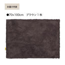 乾度良好&nbsp;Dナチュレ&nbsp;バスマット&nbsp;約70×100cm&nbsp;ブラウン&nbsp;吸水速乾&nbsp;裏面すべり止め加工&nbsp;抗菌防臭&nbsp;洗える&nbsp;足拭きマット