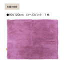 乾度良好&nbsp;Dナチュレ&nbsp;バスマット&nbsp;約90×120cm&nbsp;ローズピンク&nbsp;吸水速乾&nbsp;裏面すべり止め加工&nbsp;抗菌防臭&nbsp;洗える&nbsp;足拭きマット