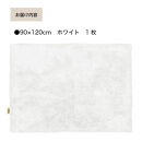 乾度良好&nbsp;Dナチュレ&nbsp;バスマット&nbsp;約90×120cm&nbsp;ホワイト&nbsp;吸水速乾&nbsp;裏面すべり止め加工&nbsp;抗菌防臭&nbsp;洗える&nbsp;足拭きマット