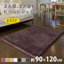 乾度良好&nbsp;Dナチュレ&nbsp;バスマット&nbsp;約90×120cm&nbsp;ブラウン&nbsp;吸水速乾&nbsp;裏面すべり止め加工&nbsp;抗菌防臭&nbsp;洗える&nbsp;足拭きマット