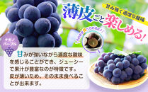 【2026年発送分先行予約】シャインマスカット／ナガノパープル&nbsp;セット（各1房・計2房&nbsp;約1kg）【2026年9月上旬以降順次】｜シャインマスカット&nbsp;ナガノパープル&nbsp;ぶどう&nbsp;葡萄&nbsp;宮城県角田市&nbsp;フルーツ&nbsp;果物&nbsp;セット