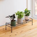 98915700&nbsp;シンプルプラントスタンド&nbsp;スクエア&nbsp;S&nbsp;約幅60.5cm×奥行20.5cm×高さ15cm