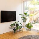 98915700&nbsp;シンプルプラントスタンド&nbsp;スクエア&nbsp;S&nbsp;約幅60.5cm×奥行20.5cm×高さ15cm