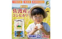 ＜数量限定＞【令和6年産】新潟県佐渡産のコシヒカリ　精米【無洗米】5kg　送料無料