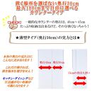 カウンター下収納&nbsp;引き出し&nbsp;奥行30&nbsp;幅100cm&nbsp;カウンターテーブル&nbsp;ランドリー収納&nbsp;キッチンカウンター&nbsp;薄型&nbsp;国産&nbsp;ミラノ