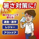 アイスノン&nbsp;シャツミスト&nbsp;ICE&nbsp;KING&nbsp;ミントの香り&nbsp;本体詰替えセット